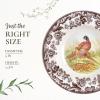 imageSpode Woodland Pheasant 9Inch Soup Bowl  Large Earthenware Bowl with Turkey Motif ampamp Flowers Border Thanksgiving Dinnerware Microwave and Dishwasher Safe  Ideal for Soup Salad PastaPheasant
