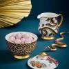 imageSpode Creatures of Curiosity Sugar Bowl with Lid  7oz Fine China Bowl with HandPainted 22Carat Gold Decal ampamp Leopard Motif  Victorian Inspired Design for Afternoon Tea or Coffee Cart Serveware