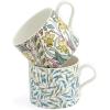 imageSpode Morris ampamp Co 12oz Mugs Set of 2 Daffodil ampamp Willow Bough  Microwave ampamp Dishwasher Safe Elegant Porcelain Drinkware for Coffee Bar or Giftable Home Kitchen Mug Set Ideal for Coffee ampamp TeaDaffodil  Willow Bough