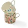 imageSpode Morris ampamp Co 12oz Mugs Set of 2 Daffodil ampamp Willow Bough  Microwave ampamp Dishwasher Safe Elegant Porcelain Drinkware for Coffee Bar or Giftable Home Kitchen Mug Set Ideal for Coffee ampamp TeaBlackthorn  Golden Lily