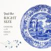 imageSpode Blue Italian Salad Plate Set of 4725 Fine Earthenware with Oriental Design Dishwasher Microwave Freezer Safe Classic Blue ampamp White Dinnerware  Made in England