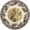 imageSpode Woodland Peregrine Falcon Dinner Plate  105quot Fine Earthenware British Flowers Border Rustic English Game Animal Design  Microwave Oven Dishwasher Freezer Safe Made in EnglandRedTailed Hawk