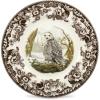 imageSpode Woodland Peregrine Falcon Dinner Plate  105quot Fine Earthenware British Flowers Border Rustic English Game Animal Design  Microwave Oven Dishwasher Freezer Safe Made in EnglandSnowy Owl