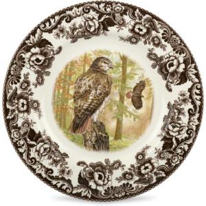 imageSpode Woodland Peregrine Falcon Dinner Plate  105quot Fine Earthenware British Flowers Border Rustic English Game Animal Design  Microwave Oven Dishwasher Freezer Safe Made in EnglandRedTailed Hawk