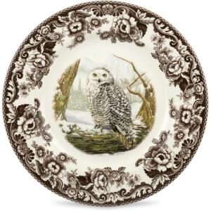 imageSpode Woodland Peregrine Falcon Dinner Plate  105quot Fine Earthenware British Flowers Border Rustic English Game Animal Design  Microwave Oven Dishwasher Freezer Safe Made in EnglandSnowy Owl