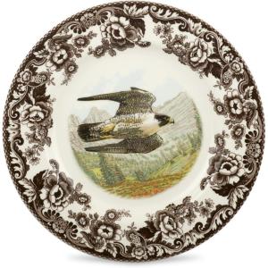 imageSpode Woodland Peregrine Falcon Dinner Plate  105quot Fine Earthenware British Flowers Border Rustic English Game Animal Design  Microwave Oven Dishwasher Freezer Safe Made in EnglandPeregrine Falcon