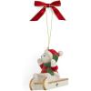 Teddy On Sleigh