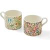 imageSpode Morris ampamp Co 12oz Mugs Set of 2 Pimpernel ampamp Forest Hare  Microwave ampamp Dishwasher Safe Elegant Porcelain Drinkware for Coffee Bar or Giftable Home Kitchen Mug Set Ideal for Coffee ampamp TeaBlackthorn  Golden Lily