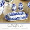 image:imageSpode Blue Italian Salt and Pepper Shakers