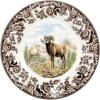 image:imageSpode Woodland Dinner Plate Bighorn Sheep  105 Inch  Hunting Cabin Lodge and Cottage Dcor  Made in England from Fine Earthenware  Microwave and Dishwasher Safe