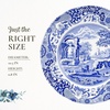 image:imageSpode Blue Italian Dinner Plate  105 Inch  Fine Earthenware  Microwave and Dishwasher Safe  Made in England